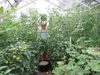 k-IMG_0603.webp