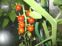 k-IMG_0600.webp