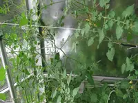 k-IMG_0599.webp