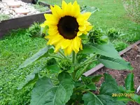 SDC10112.webp
