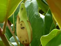 13.webp