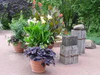 37.webp