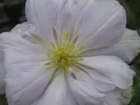 012.webp