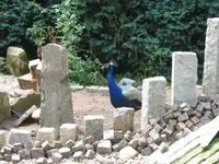 Jul28^14.webp
