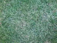 DSC00153.webp