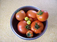 100_1420.webp