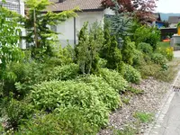 Hügel2.webp