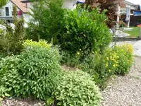 Hügel3.webp