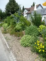 Hügel4.webp