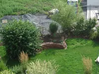 Teichbeet von oben.webp