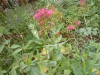 DSC03596.webp