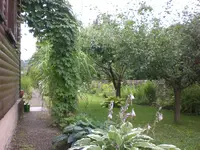 Garten Aug.1 020.webp