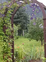 Garten Aug.1 023.webp