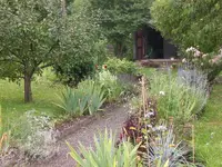 Garten Aug.1 027.webp