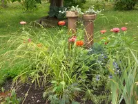 Garten Aug.1 028.webp