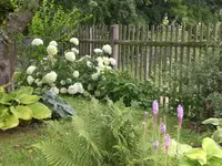 Garten Aug.1 030.webp