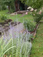 Garten Aug.1 031.webp