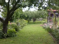 Garten Aug.1 037.webp