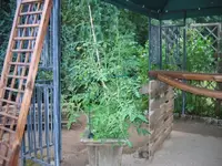 Jul29^17.webp