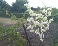 Foto_072610_039.webp