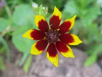 IMG_8905_1024x768.webp
