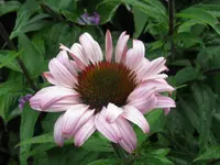 IMG_8942_1024x768.webp