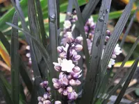 IMG_8943_1024x768.webp