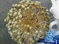 IMG_8868_1024x768.webp
