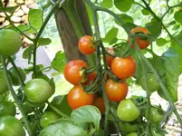 100_1447.webp