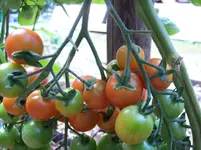 100_1448.webp