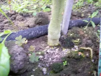 100_1454.webp
