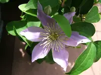 DSCF3828.webp