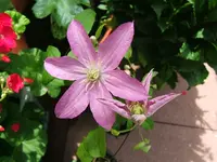 DSCF3827.webp
