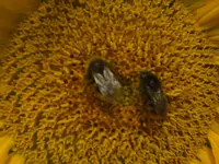 CIMG0572.webp
