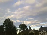 310720101165.webp