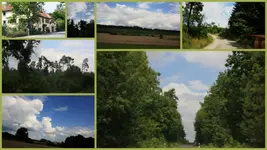 Weg ins Revier.webp
