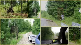 Revierarbeit.webp