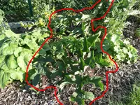 P1070394 Kopie.webp