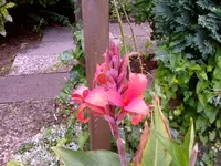 image001.webp