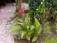 image006.webp