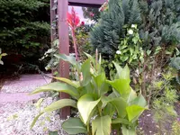image007.webp