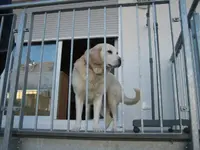 20070311_0479.webp