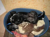 20061104_0919.webp