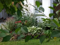 Garten 07-1-2008 014.webp