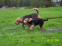 fun in the field & water (5).webp