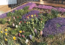 foto (1) (kopie) (1).webp