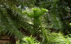 Kopie von DSCI0166.webp