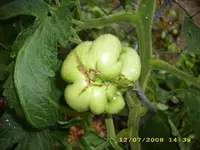 Test 603.webp