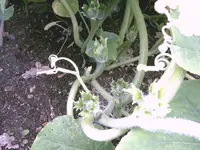 IMAG0020.webp