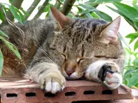 Bild 297.webp